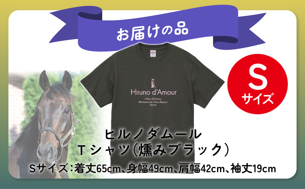 【ヒルノダムール】（燻みブラック）Ｔシャツ 選べる４サイズ【Ｓ】 BRTV300-1