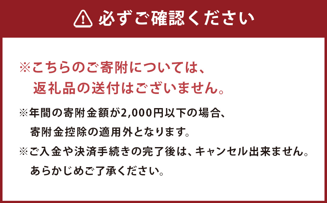 【ふるさと納税】熊本県人吉市への寄附（返礼品はありません）1口2,000円