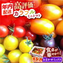 【12/22入金まで年内発送】【2024年11月中旬〜2025年5月下旬発送分】【ふるさと納税】おまかせMIX カラフル ミニトマト 約1.2kg【小値賀町】長崎 五島列島 島 国産《りんたろうふぁ〜む》 [DAE002] トマト とまと ミニとまと 野菜 サラダ お弁当 常温