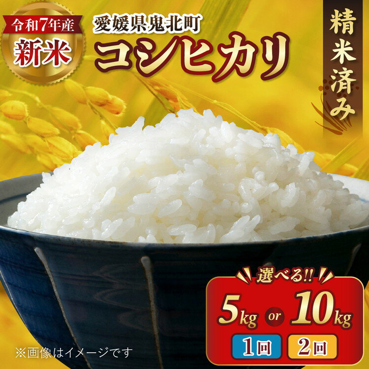 【ふるさと納税】【選べる容量・配送回数】【R7年産新米】愛媛県産 コシヒカリ ｜ ご飯 白米 お米 令和7年産 5kg 10kg 精米済み ※離島への配送不可 ※2025年10月上旬～12月下旬頃に順次発送予定