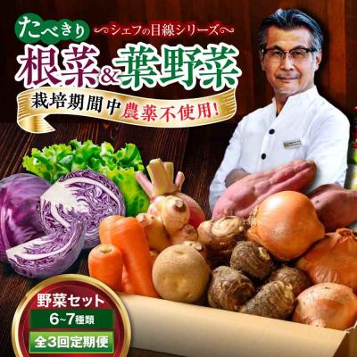 ふるさと納税 大洲市 【全3回定期便】  根菜×葉野菜 6から7種 単身・二人暮らし用セット [AGBX052]