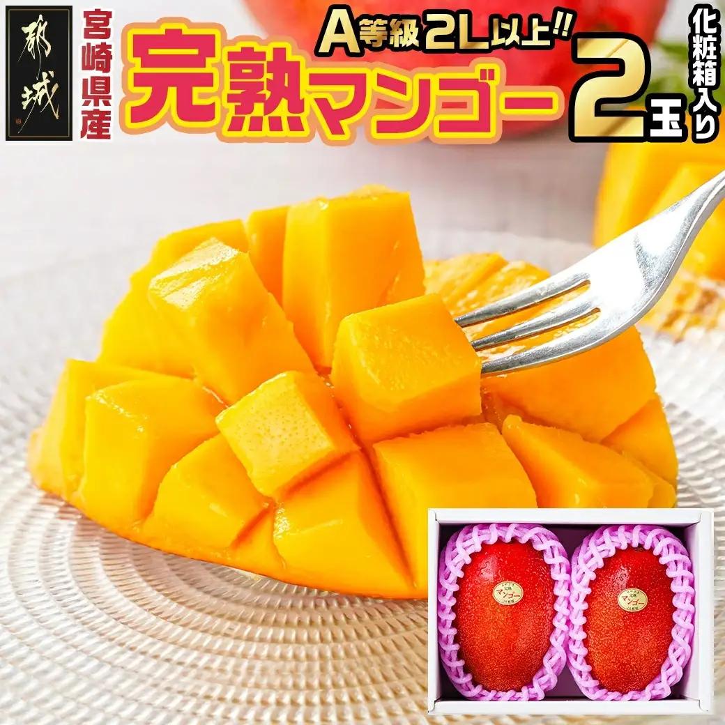 宮崎県産完熟マンゴー(A等級) 【2L以上×2玉】〔22-0101〕_(都城市) 宮崎県産 完熟マンゴー 化粧箱入り 2Lサイズ 糖度13度以上 A等級品 南国宮崎