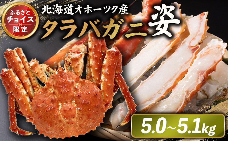 
            《チョイス限定》北海道オホーツク産 冷タラバガニ姿　5.0～5.1kg | オンライン申請 ふるさと納税 北海道 雄武 北海道産タラバガニ タラバ カニ かに 蟹 冷凍 海産 海産物 ギフト 贈り物 お取り寄せ ワンストップ マイページ 雄武町【12411】
          