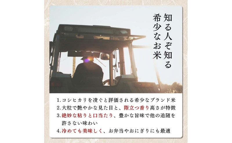 【令和8年11月配送】【プロも高評価！】令和8年産 新潟県上