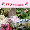 【ふるさと納税】お花 フラワー 花 バラ バラ園 アレンジメント お届け便 山口県 贈り物 ギフト (1257)