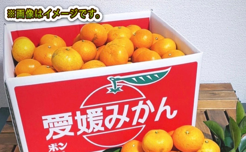 愛媛みかん 訳あり 早生みかん 10kg 誉農園 先行予約 愛媛ミカン 愛媛蜜柑 みかん 蜜柑 mikan 果物 くだもの フルーツ 柑橘 みかん 蜜柑 数量限定 農家直送 産地直送 国産 愛媛 宇和