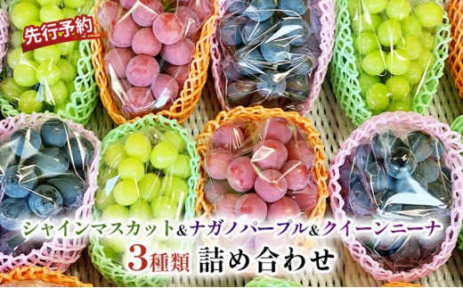 
                  おかべ農園　長野市産 ぶどう3種類の詰合せ(ナガノパープル・シャインマスカット・クイーンニーナ) 贈答用【2026年9月下旬頃発送予定】 | ナガノパープル シャインマスカット クイーンニーナ フルーツ ぶどう ブドウ 葡萄 詰合せ 人気 おすすめ 果物 ギフト  長野県 長野市 信州 信濃 ふるさと納税
                