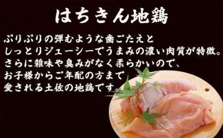 肉 牛肉 国産 黒毛 和牛 切り落とし 300g 鶏肉 もも むね お得 パック 詰め合わせ 土佐はちきん地鶏 希少 幻の大川黒毛和牛 ブランド鶏 土佐はちきん地鶏 高知県 須崎市