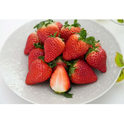 【眺めてうっとり、かじって甘い！】JAの「いちごさん」240g✕4パック【JA伊万里_園芸】いちご イチゴ 苺 いちごさん 果物 4パック 小分け 佐賀 佐賀いちご 甘い 酸味 10000円 1万円 