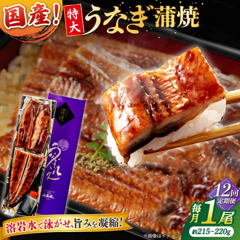 【12回定期便】うなぎ老舗専門店のパリっとふっくら国産うなぎ 蒲焼1尾(蒲焼のタレ付き) 島根県松江市/株式会社山美世商会[ALDC009]