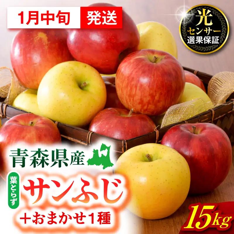 【2027年1月中旬発送】【訳あり】 りんご 15kg 詰め合わせ 計2種(サンふじ と 他1種) 家庭用りんご