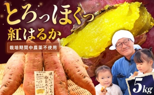 【厳選】 紅はるか 5kg さつまいも 冷やし芋 べにはるか さつまいも 紅はるか おやつ お菓子 野菜 デザート イモ 芋 いも さつま芋 甘藷 薩摩芋 サツマイモ ひやしいも やきいも 焼き芋 スイーツ おいしい 甘味 甘い ねっとり 国産 産地直送 やきいも 焼きいも おいしい 大学芋 家庭用 食物繊維 滋賀県 長浜市 / 好作豊吉 [AQCF015]