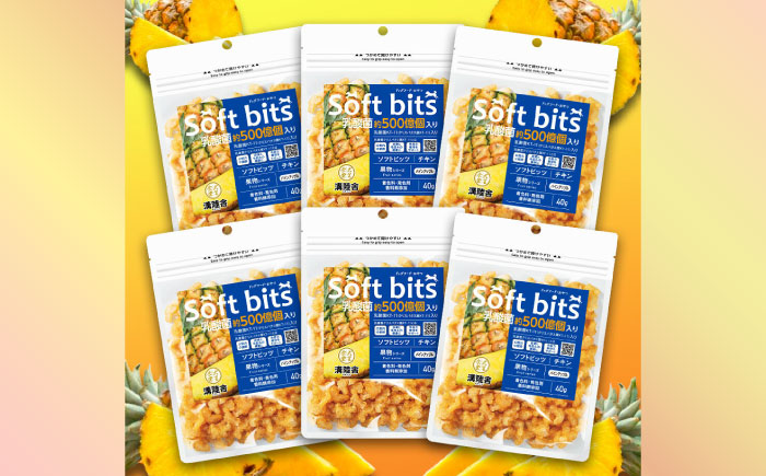 Softbits ドッグフード パイン（40g×6P）/ ドッグフード 犬 いぬ ドッグ おやつ ペットフード / 大村市 / サポート [ACAM014]