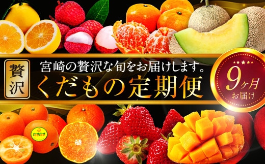 
										
										青果店厳選！「くだもの定期便Vol.2」（全9回）M153-005
									