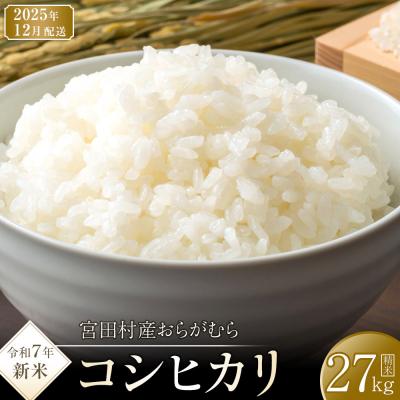 ふるさと納税 宮田村 【先行受付】【令和7年米】【新米】長野県宮田村産コシヒカリ/精米/27kg/12月配送