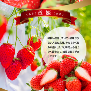 【2025年2月からお届け】いちご1ホール 9粒～12粒