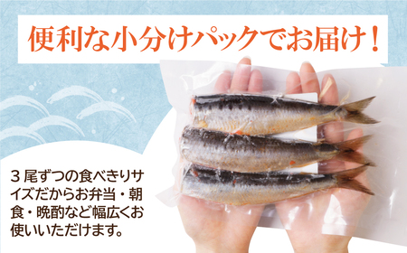 U08-13 いわし明太 12尾 明太子 明太子 明太子 明太子 明太子 おつまみ ご飯のお供 【YUKU】 【fukuchi00】