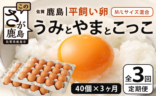 【定期便 3回】平飼い卵「うみとやまとこっこ」上田養鶏場 たまご40個 × 3ヶ月【合計120個】S～Lサイズ混合 佐賀県鹿島産 卵 タマゴ E-128