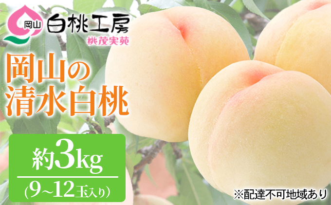 桃 2026年 先行予約 清水白桃 3kg 9～12玉 白桃 もも モモ 岡山県産 国産 フルーツ 果物 ギフト 桃茂実苑 果肉 