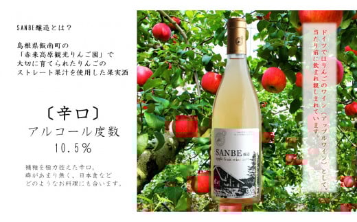 〈辛口〉りんごのお酒　SANBE醸造2024　【 林檎 りんご 果実酒 720ml 1本 リンゴ ストレート果汁 ワイン わいん フルーティー 贈り物 プレゼント お取り寄せ 御歳暮 Ａ-223 】