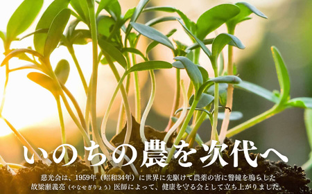 生命の農法（無化学農薬・無化学肥料栽培）じゃがいも（5kg）
