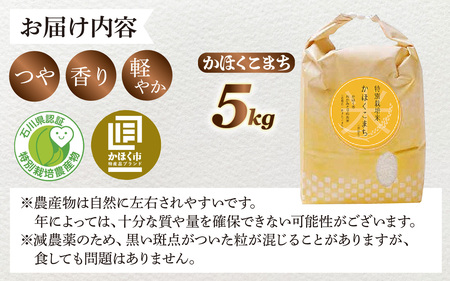 【令和8年産】 かほくこまち 5kg 【2026年12月配送】 | お米 米 かほくこまち