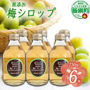 【ふるさと納税】 梅シロップ 230mL × 6本 果実 梅 シロップ 【梅 果実 飲料 産地直送 13000円 信州 長野 】 長野県 飯綱町 ふるさと振興公社 　沖縄県への配送不可