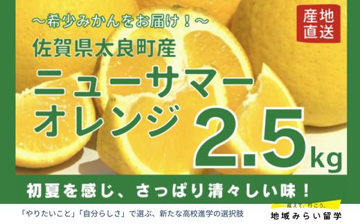 
                  【佐賀県太良産】山本農園『ニューサマーオレンジ 2.5kg』（4月上旬～出荷予定）
                