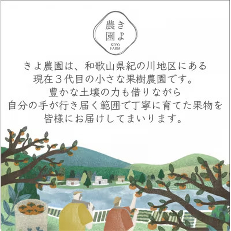 先行受付　柿(種無し)　赤秀品大玉　6個入　約1.8kg ※2025年9月下旬～10月下旬頃に順次発送予定 ※離島への配送不可