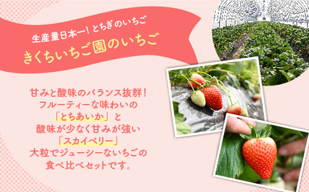 いちご厳選！さくら市産 とちあいか・スカイベリー食べ比べセット（290g×4パック）【先行予約 数量限定 栃木県 果物 くだもの フルーツ 苺 イチゴ 】 ※着日指定不可 ※2024年1月中旬～3月下