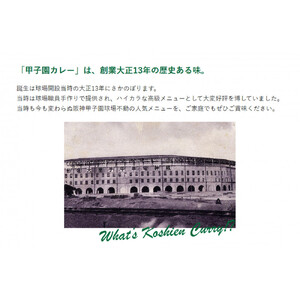 甲子園カレー＜中辛・辛口＞×3箱6食入  計6箱セット12食入 【カレー】