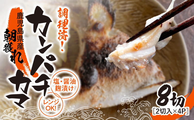 1276 調理済み！カンパチカマ塩・醤油麹（こうじ）漬け8切（焼タイプ）　KN037-002-01