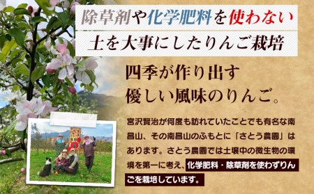 りんご さとう農園の葉とらずリンゴ サンふじ 5kg 葉とらず 家庭用 フルーツ 果物 おやつ 冬 旬 旬のフルーツ 旬の果物 お取り寄せ 蜜入り 産地直送 岩手 盛岡市 予約 2024 2024年 