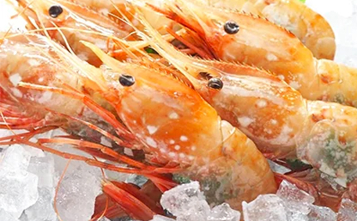 『新物』北海道噴火湾産冷凍ボタンエビメス（約400g×4） ＜海鮮問屋　株式会社　瑞宝＞えび エビ 海老 ぼたんえび ぼたん海老 ボタン海老 ボタンエビ ぼたんエビ 牡丹海老 北海道 mr1-0529