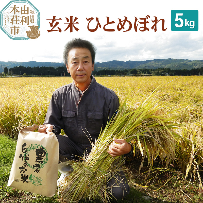 【玄米】 ＜通算5回 特A＞ ひとめぼれ   5kg 令和7年産 農家直送 渡部さんのひとめぼれ