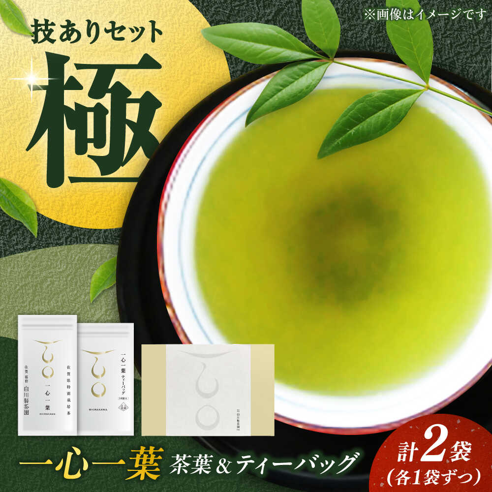 【ふるさと納税】白川稔の技ありセット｢極（きわみ）｣ 計2袋 / お茶 日本茶 嬉野茶 緑茶 / 佐賀県 / 白川製茶園 [41AIAB005]