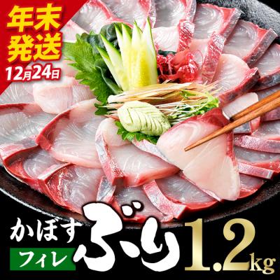 ふるさと納税 佐伯市 ＼2026年12月24日発送!先行予約/かぼす ブリ フィレ (1.2kg)