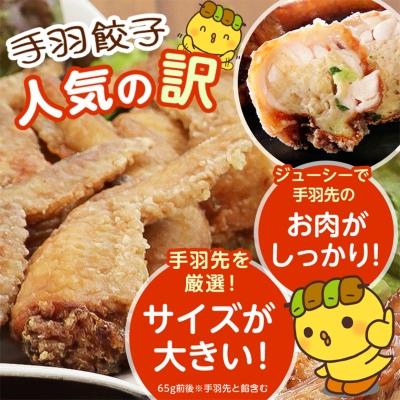 ふるさと納税 香取市 8秒に1本売れてます!手羽先餃子10本セット/水郷のとりやさん |  | 02
