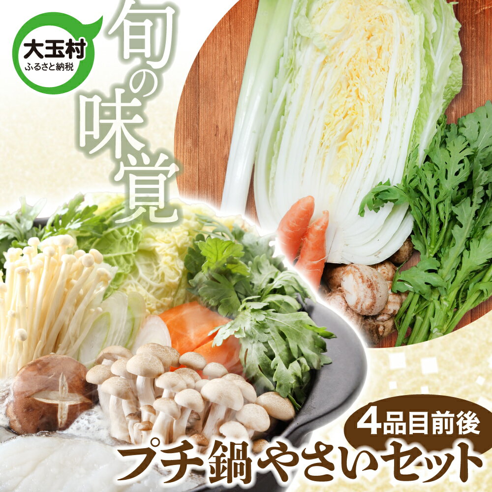 【ふるさと納税】《旬の味覚》 大玉村 の プチ鍋 やさい セット（ 4品目前後 ） ｜ 野菜 セット 旬 野菜セット 鍋 4000円 産地直送 おまかせ 詰め合わせ やさい 送料無料 福島県大玉村 om-ys-nb-p