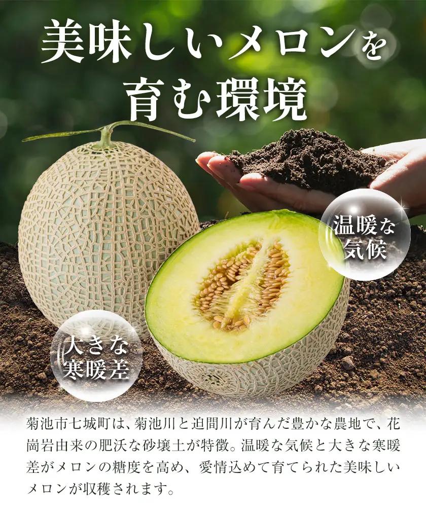 アールスメロン 2玉 2L～3Lサイズ メロン《9月上旬-12月上旬頃出荷》熊本県 菊池市 果物 フルーツ 青果物 菊池市産 熊本県産 九州産 国産 送料無料