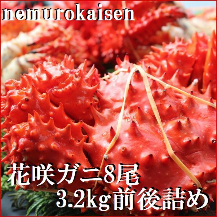 【ふるさと納税】 [北海道根室産] 花咲ガニ 8 尾 ( 計 3.2kg 前後 ) 花咲がに 花咲 花咲かに 花咲蟹 かに カニ 蟹 お取り寄せ グルメ 海鮮 北海道 根室市 ふるさと納税 C-57053