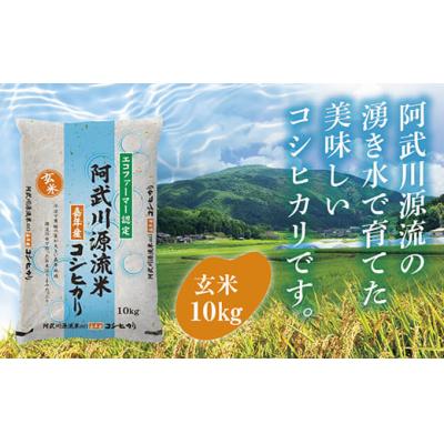 ふるさと納税 山口市 阿武川源流米コシヒカリ玄米10キログラム D539