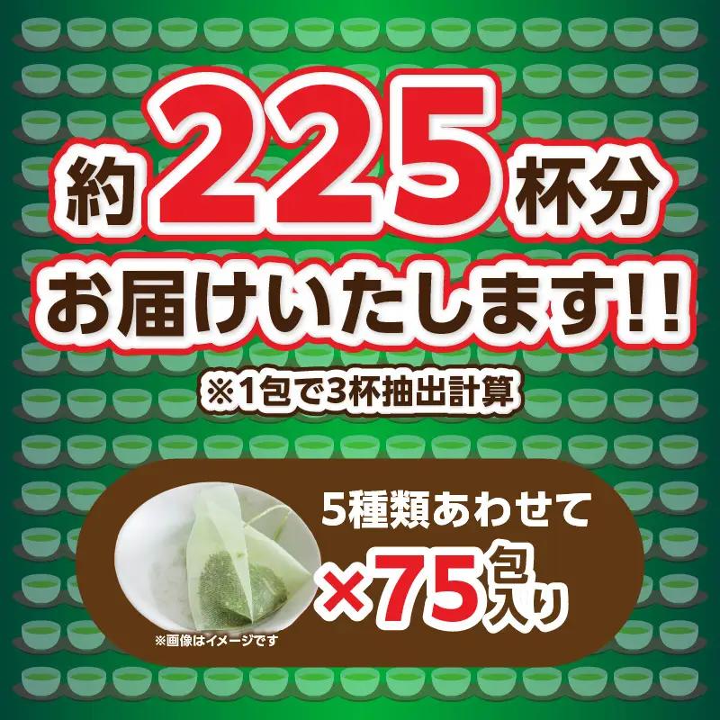 八女茶の老舗・古賀製茶本舗 5種類のティーバッグ たっぷり75包入り 茶 お茶 日本茶 緑茶 八女茶 飲み比べ 玉露 煎茶 ほうじ茶 和紅茶 玄米茶 福岡県 八女市 072-033