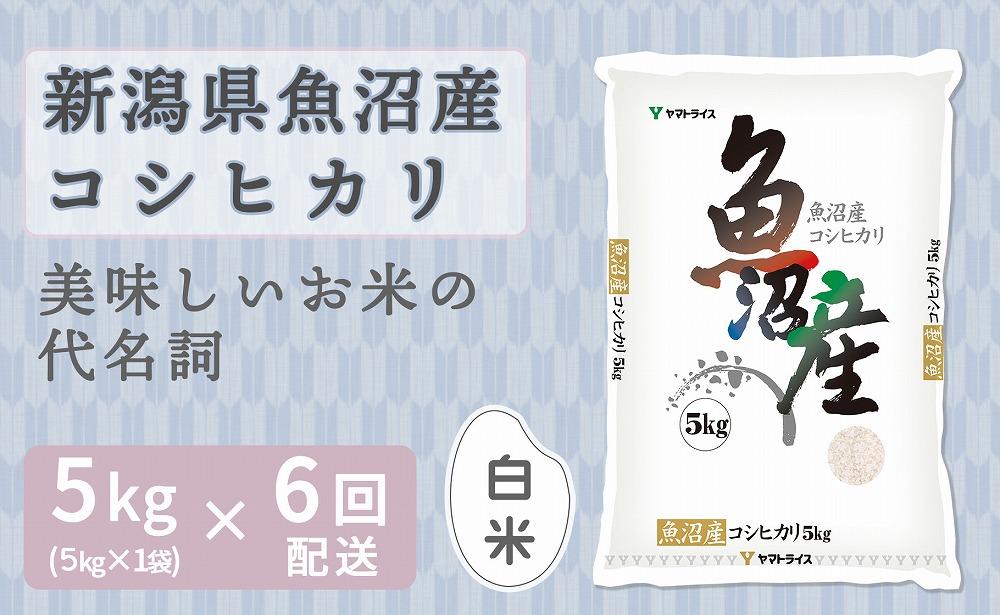 【定期便全6回】新潟県魚沼産コシヒカリ5kg（受注の翌月から毎月配送）｜新潟県　新潟　魚沼　こしひかり　米　おこめ　お米