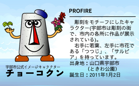チョーコクンぬいぐるみセット 2個 【山口県 宇部市 ゆるキャラ ご当地キャラ キャラクター ゆるチョーコクン 宇部ふるさと大使 YOASOBI Ayase 紹介 話題 SNS やす子】 BB10_1