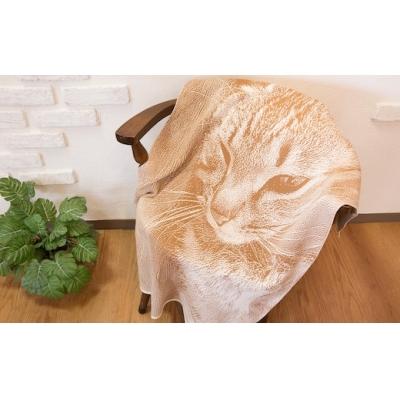 ふるさと納税 八頭町 ペットオーダーメイドニット ひざかけ「DUO」