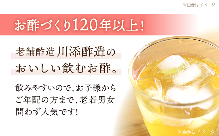 【飲むお酢】 【12回定期便】ハーブ酢らり 大瓶2本セット＜川添酢造＞ [CDN082]