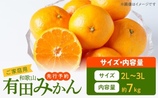 AT6315_【2025年先行予約】ご家庭用　有田みかん 約7kg (2L、3Lサイズ)【湯浅町】