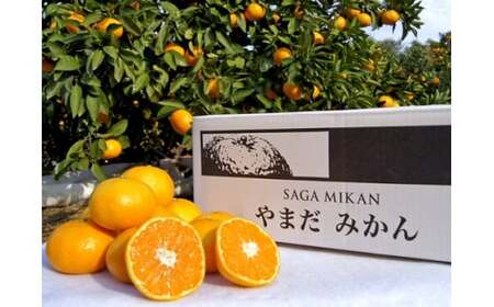 やまだ果樹園の完熟みかん　５ｋｇ　みかん 太良みかん 温州みかん 完熟みかん 国産みかん 小玉みかん 大玉みかん 佐賀県 太良町 L32