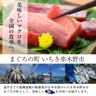 ふるさと納税 いちき串木野市 天然 本マグロ 中トロ 100g×2 赤身 100g×2 計400g 便利な真空小分け |  | 02
